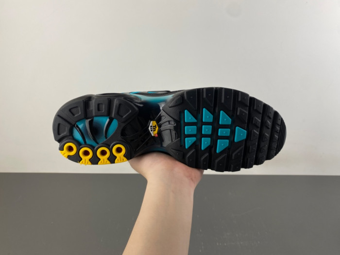 Nike Air Max Plus Black Dusty Cactus DM0032-016