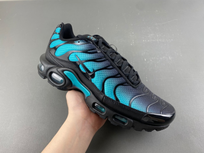 Nike Air Max Plus Black Dusty Cactus DM0032-016