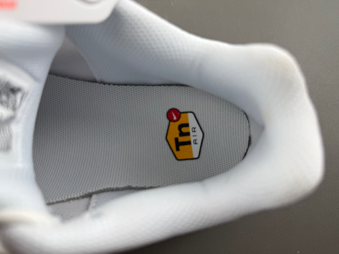 Nike Air Max Plus White Pure Platinum DM2362-100