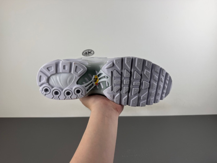 Nike Air Max Plus White Pure Platinum DM2362-100