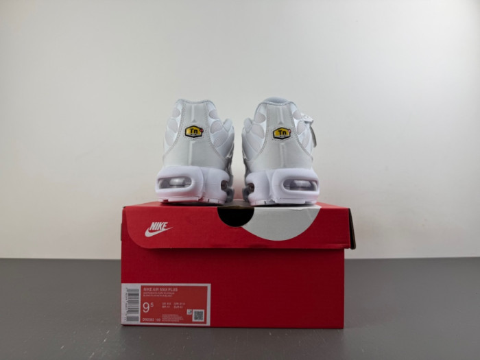 Nike Air Max Plus White Pure Platinum DM2362-100