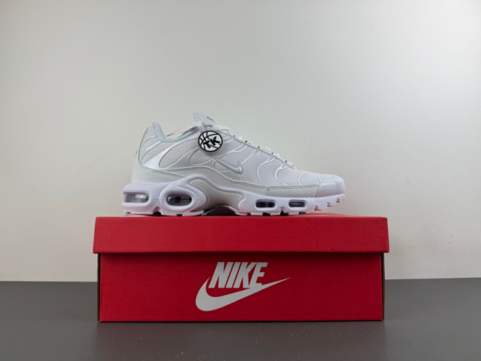 Nike Air Max Plus White Pure Platinum DM2362-100