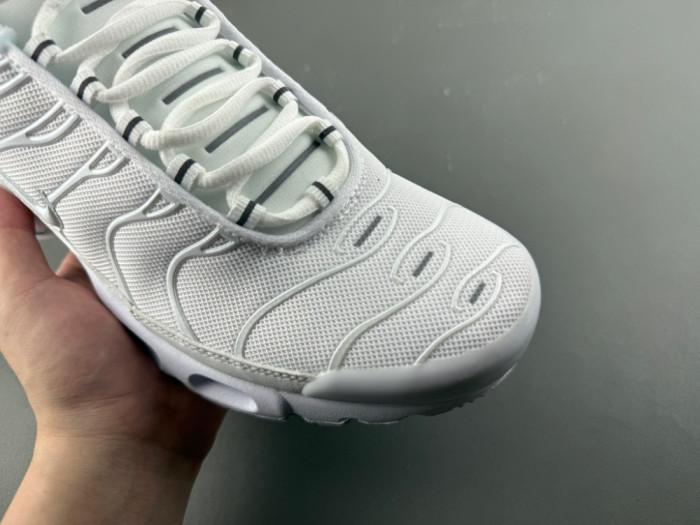 Nike Air Max Plus White Pure Platinum DM2362-100