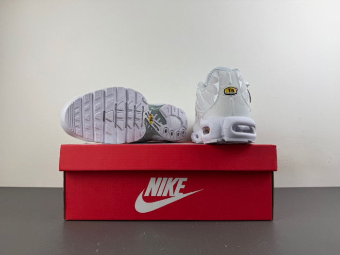 Nike Air Max Plus White Pure Platinum DM2362-100