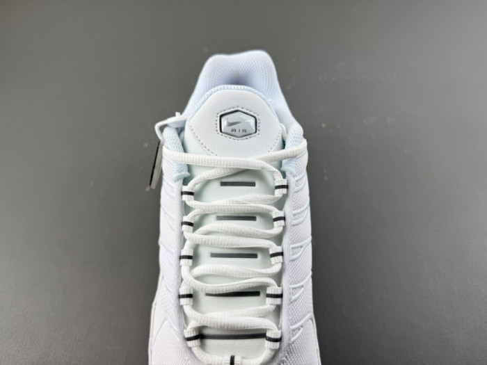 Nike Air Max Plus White Pure Platinum DM2362-100