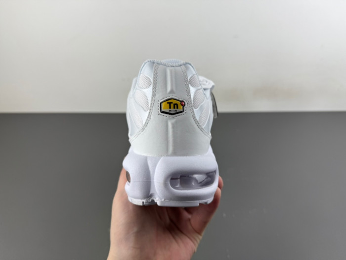 Nike Air Max Plus White Pure Platinum DM2362-100