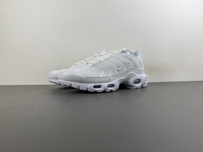 Nike Air Max Plus White Pure Platinum DM2362-100