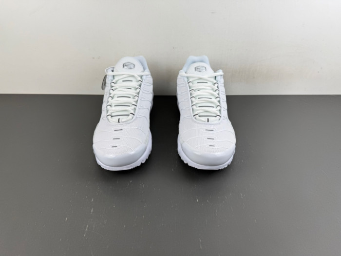 Nike Air Max Plus White Pure Platinum DM2362-100