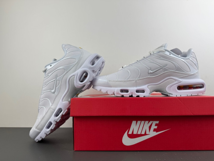 Nike Air Max Plus White Pure Platinum DM2362-100