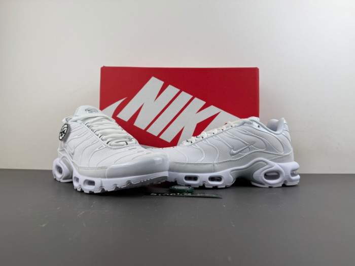 Nike Air Max Plus White Pure Platinum DM2362-100