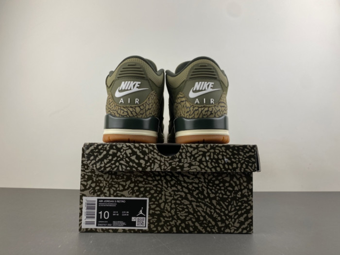 Air Jordan 3 Retro Family Affair DN3707-202