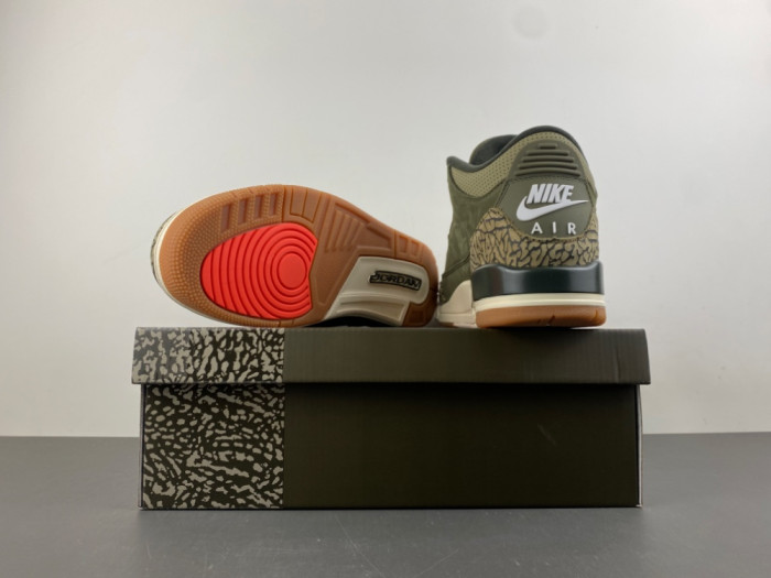 Air Jordan 3 Retro Family Affair DN3707-202