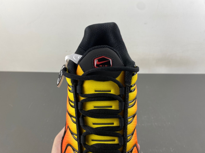 Nike Air Max Plus Sunset HF0552-001