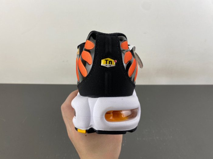 Nike Air Max Plus Sunset HF0552-001