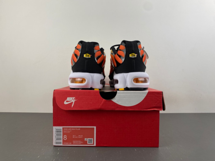Nike Air Max Plus Sunset HF0552-001