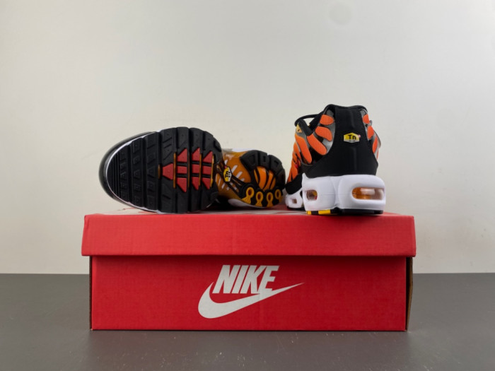 Nike Air Max Plus Sunset HF0552-001