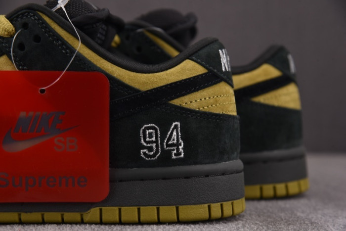 Nike SB Dunk Low HQ8487-300