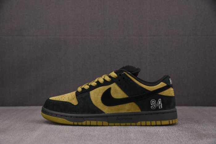 Nike SB Dunk Low HQ8487-300