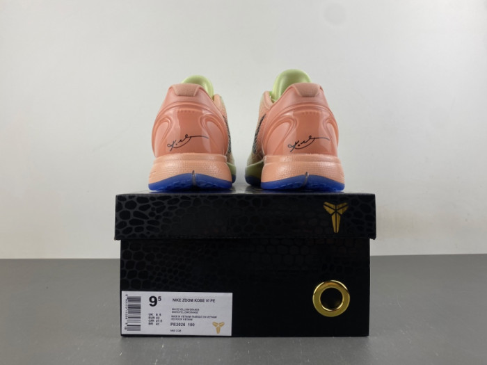 Nike Kobe 6 Pe PE2026-100